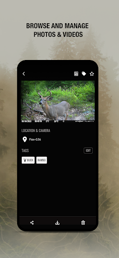SPYPOINT screenshot