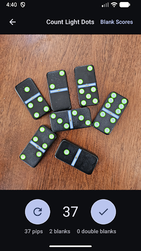 Domino Dot Counter screenshot
