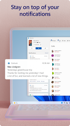 Link to Windows screenshot