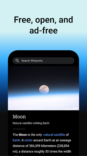 Wikipedia screenshot