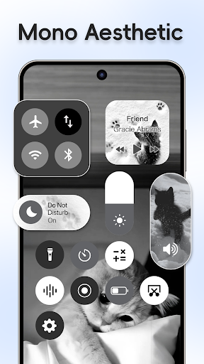 WidgetKit-OS18 Thema & Icons Screenshot