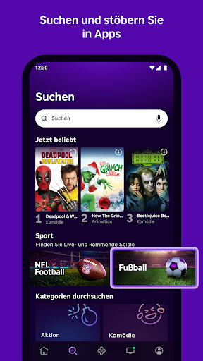 Roku Screenshot