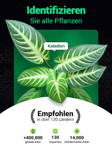 Plantum - Pflanzen bestimmen Screenshot