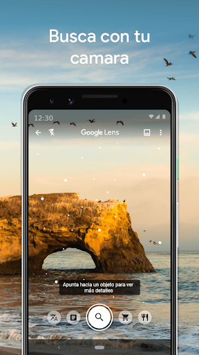Captura de pantalla de Google Lens