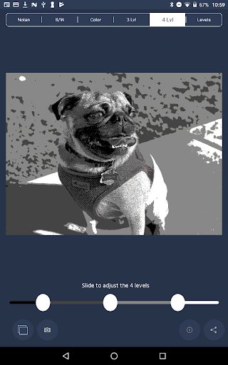 Captura de pantalla de NotanIzer