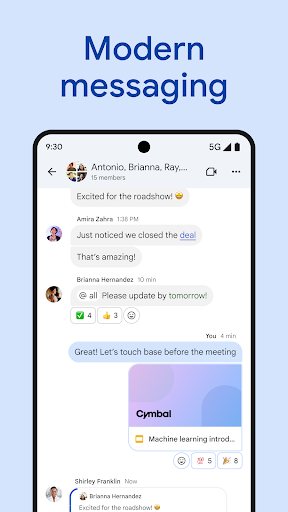 Google Chat screenshot