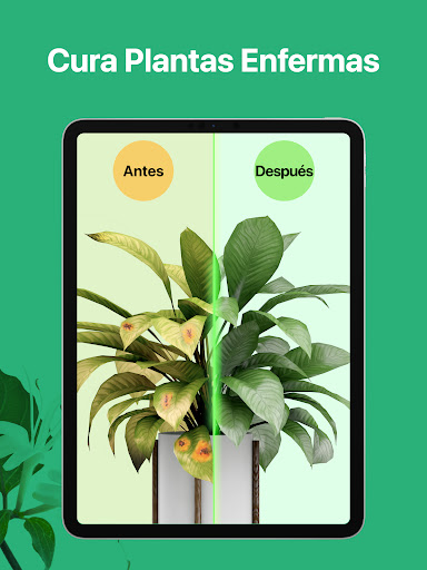 Captura de pantalla de PictureThis Identificar Planta