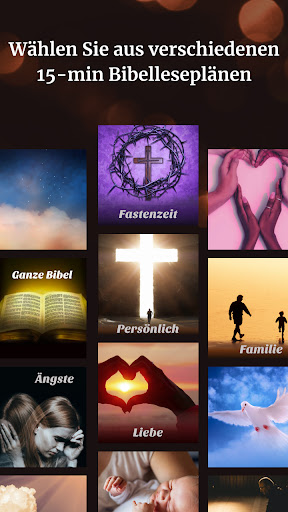 Bibel-Offline DELUT Screenshot