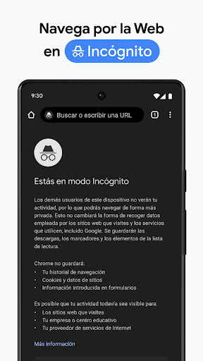 Captura de pantalla de Google Chrome