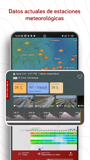Captura de pantalla de Windy.com: Previsión del clima