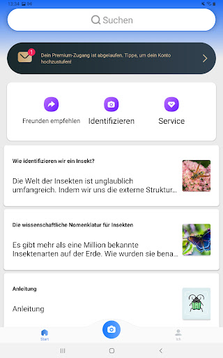 Picture Insect - Insekten ID Screenshot