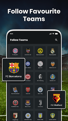 Football Live Scores & News screenshot