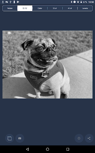 Captura de pantalla de NotanIzer
