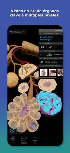 Captura de pantalla de Atlas de anatomía humana 2026