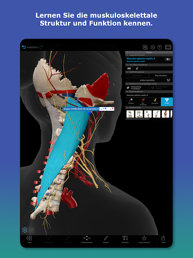 Atlas der Humananatomie 2026 Screenshot
