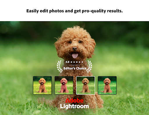 Lightroom Photo & Video Editor screenshot
