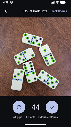 Domino Dot Counter screenshot