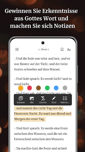 Bibel-Offline DELUT Screenshot