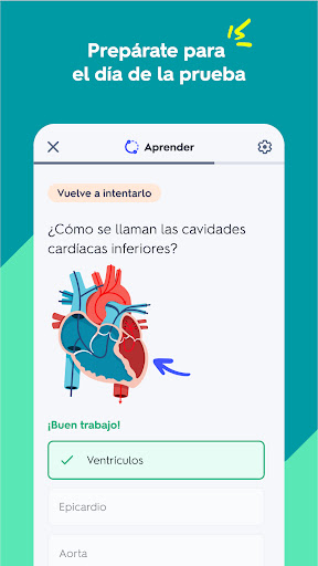 Captura de pantalla de Quizlet: fichas creadas con IA