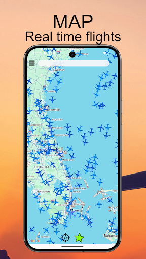 Air Traffic - flight tracker screenshot