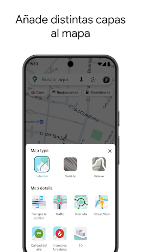 Captura de pantalla de Google Maps