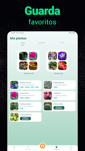 Captura de pantalla de Plantum - Identificar plantas