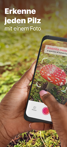 Picture Mushroom - Pilzführer Screenshot