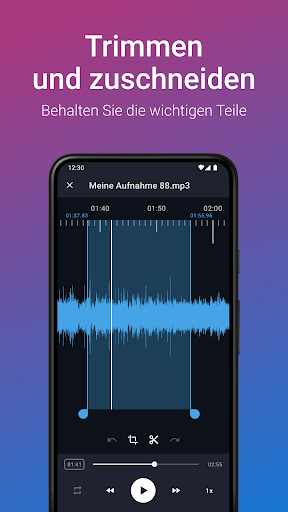 Stimmrekorder Plus Profi Screenshot