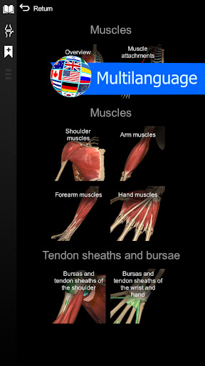Anatomy Learning By Dr. Blanco screenshot