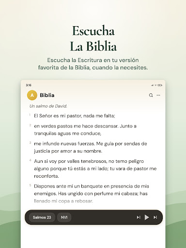Captura de pantalla de Bible Chat - Santa Biblia
