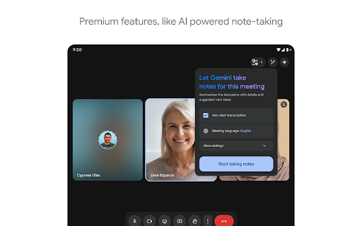 Google Meet screenshot