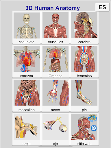 Captura de pantalla de 3D Anatomy