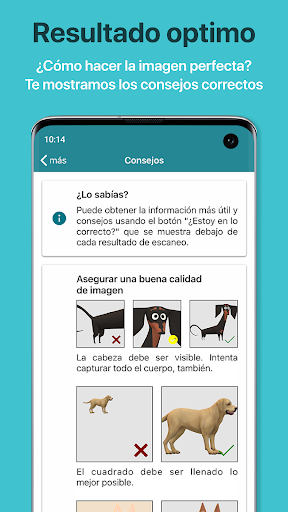 Captura de pantalla de Dog Scanner: Raza del perro