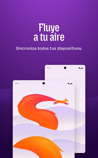 Captura de pantalla de Firefox: navegador privado
