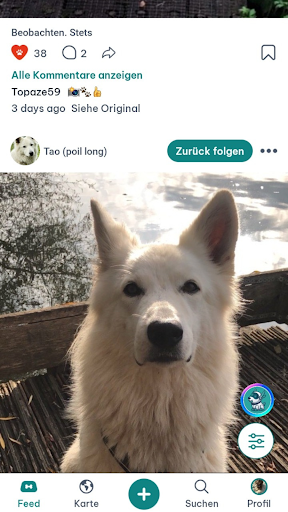 DogPack: Hundefreundliche Orte Screenshot