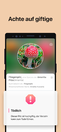 Picture Mushroom - Pilzführer Screenshot