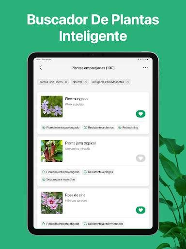 Captura de pantalla de PictureThis Identificar Planta