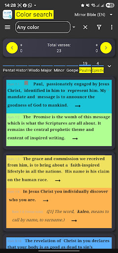 Mirror Study Bible screenshot