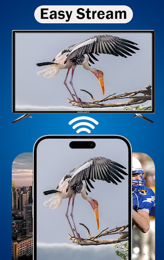 Captura de pantalla de MirrorLink App for Car