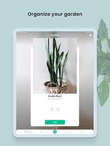PlantIn - Pflanzen erkennen Screenshot