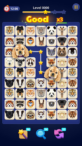 Captura de pantalla de Animal Onet-Conexión de fichas