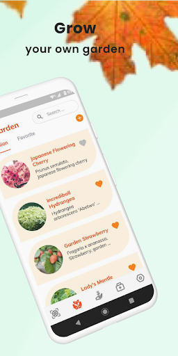 Captura de pantalla de PlantID - identificación