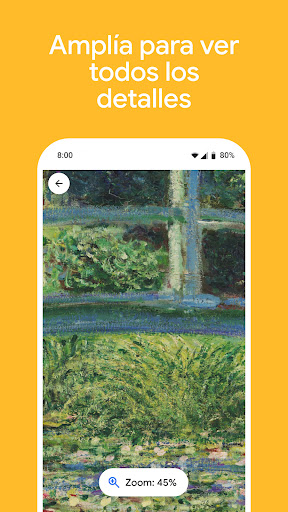 Captura de pantalla de Google Arts & Culture