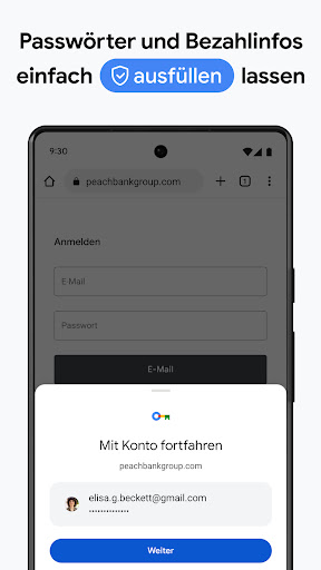 Google Chrome Screenshot