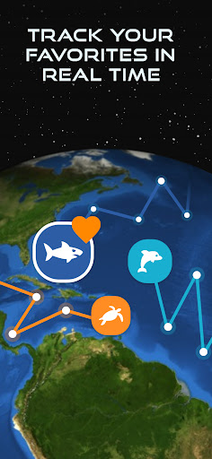 Captura de pantalla de OCEARCH Shark Tracker™