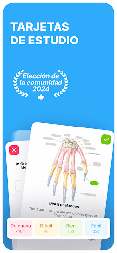 Captura de pantalla de Noji: Flashcads de estudio