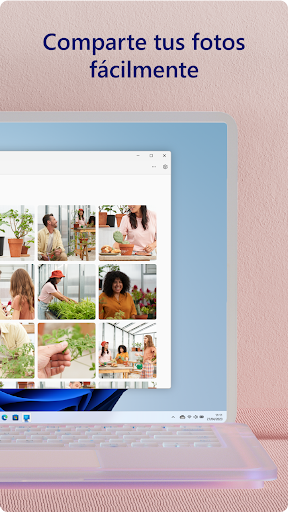 Captura de pantalla de Enlace a Windows