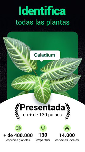 Captura de pantalla de Plantum - Identificar plantas