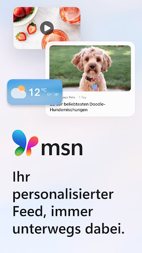MSN Screenshot