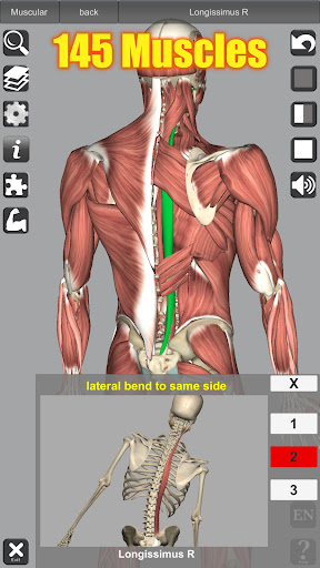 Captura de pantalla de 3D Anatomy